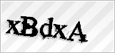 CAPTCHA security code