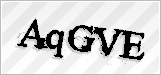 CAPTCHA security code