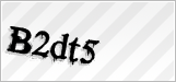 CAPTCHA security code