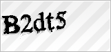 CAPTCHA security code