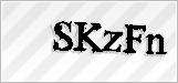 CAPTCHA security code